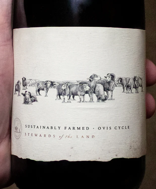 13 Rams Red Blend Lake County 2020 - Image 2