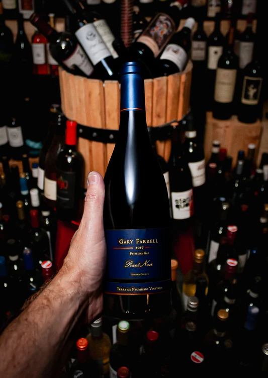 Gary Farrell Pinot Noir Terra de Promissio Vineyard Petaluma Gap 2017