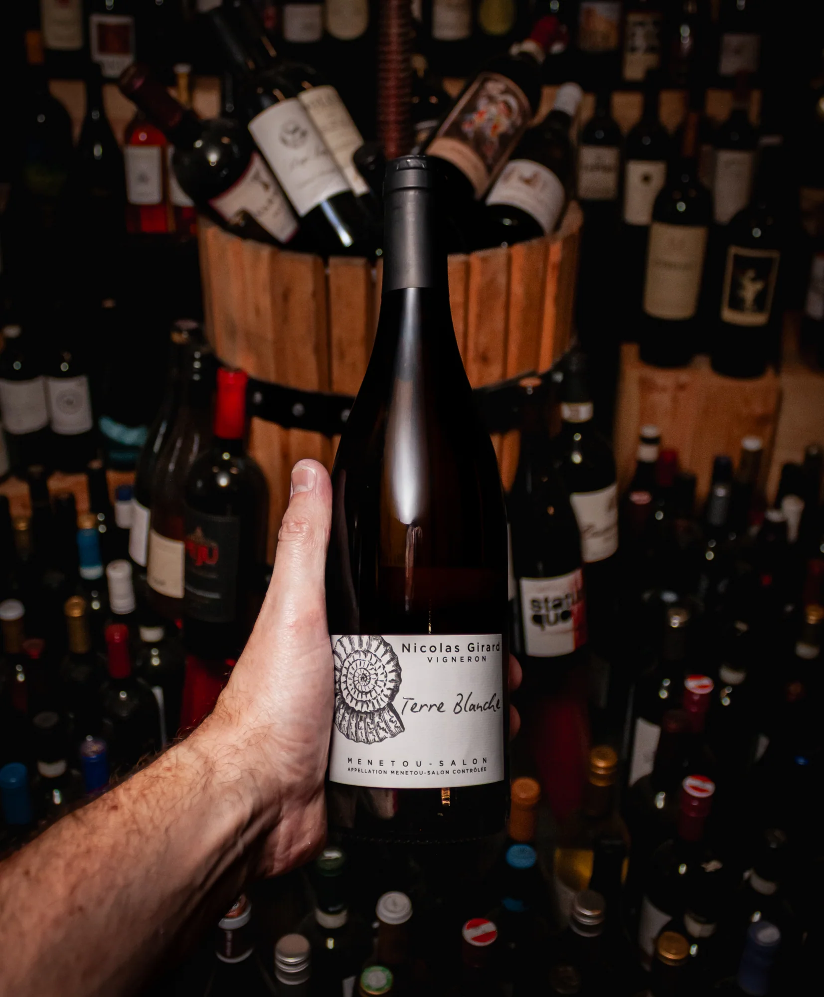 Nicolas Girard Terres Blanche Menetou-Salon Blanc 2024 - Image 3