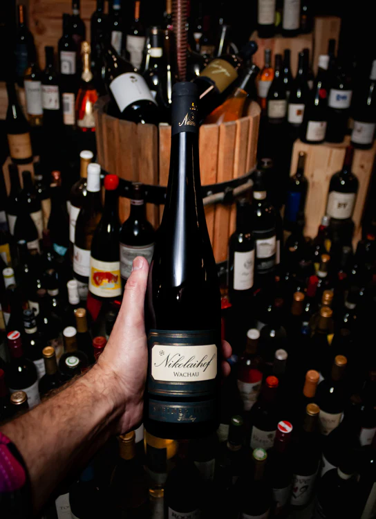 Nikolaihof Riesling Steiner Hund Wachau 2016 - Image 3
