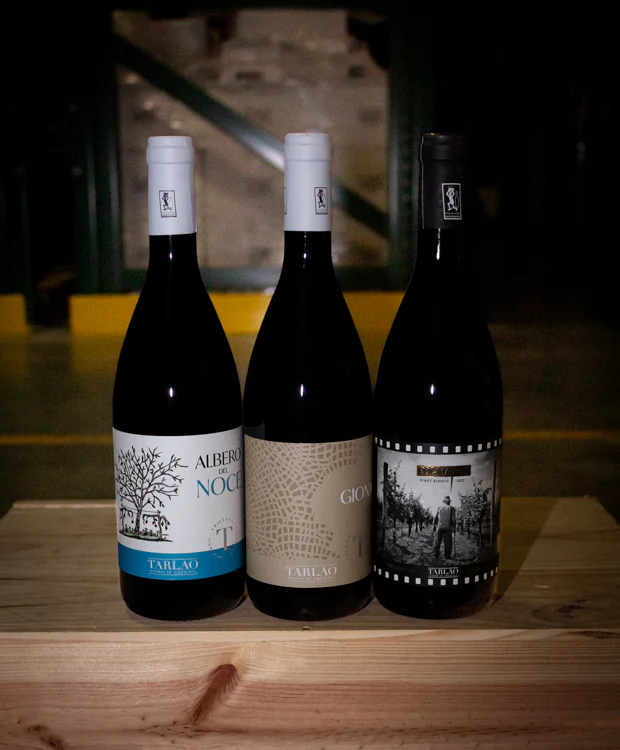 Tarlao Fruilian White 2023 3-Pack Horizontal - Image 3